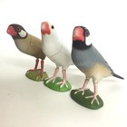 Choco Q Choco Egg Mini Figure Bird Java Sparrow 3pcs Kaiyodo furuta Japan
