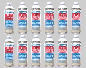 Berryman B-12 Chemtool Fuel Injector Cleaner Fuel System Cleaner 15 oz 0116-12pk - Picture 1 of 1
