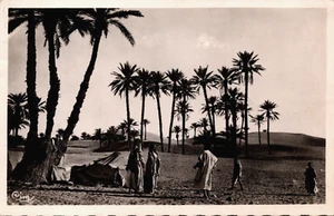 Túnez Dans la Palmeraie Vintage RPPC C384 - Imagen 1 de 2