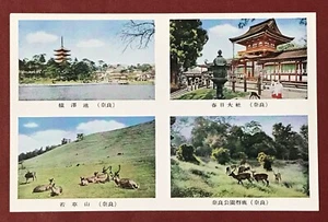 Japan Scene 1960s Postcard Nara #P2A116 - Bild 1 von 2