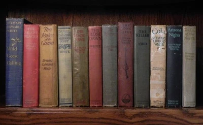 Stewart Edward White Book Lot of 12 - Mostly First Edition - Antique Novel Set — 第 1/4 张图片