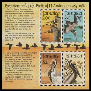 Jamaica 1985 - Mi-Nr. Bloque 25 ** - Estampillada sin montar o nunca montada - Pájaros / Pájaros - Audubon - Imagen 1 de 1