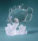 SWAROVSKI CRYSTAL BUTTERFLY FISH ON CORAL 1628888 MINT BOXED RETIRED RARE