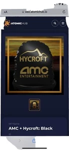 AMC Hycroft NFT Shareholder Limited edition - Picture 1 of 4