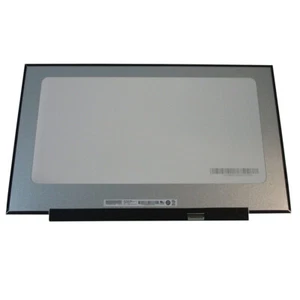 B173RTN03.0 B173RTN03.1 Led Lcd Screen 17.3" HD+ 1600x900 30 Pin - Picture 1 of 1