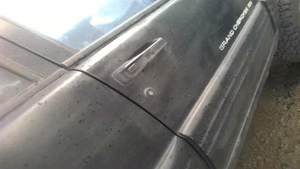 GRANDCHER 1998 Door Handle Exterior 29066720 - Picture 1 of 8