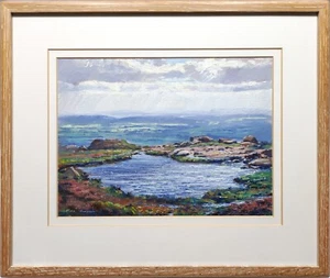MARK PRESTON (B.1974), DOXEY POOL, THE ROACHES, SIGNED ORIGINAL ACRYLIC PAINTING - Picture 1 of 24