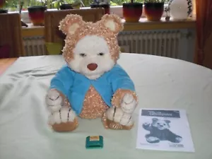 TJ Bearytales - Hasbro Playskool 2005 - spricht englisch - Timmi Geschichtenbär - Bild 1 von 9