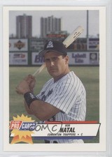 1993 Fleer ProCards Minor League Bob Natal #1141 Rookie RC