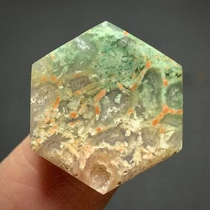 Moss Agatized Coral Fossil Cabochon 21x18.5x5mm High Quality 16 ct - Picture 1 of 7