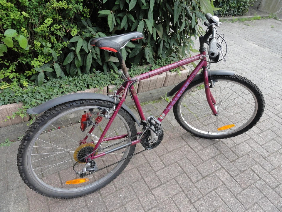 Raleigh Fahrrad  Original USA Mountainbike - Bild 1 von 4