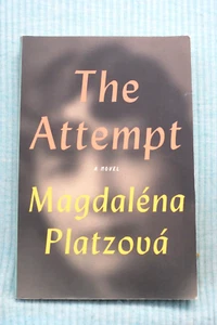 The Attempt - A Novel by Magdalena Platzova - Picture 1 of 3