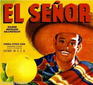 Canoga Park Los Angeles El Senor Grapefruit Zitrus Obstkiste Etikett Kunstdruck - Bild 1 von 1