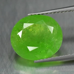 5,95Ct Brutzelnder 100% natürlicher grüner Tsavorit Granat aus Tansania - Bild 1 von 1
