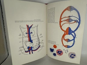 VTG Human Body & It’s Functions Textbook Medical Oddities Clinical Illustrations - Picture 1 of 10