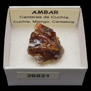 AMBAR (Canteras de Cuchia, Cuchia, Miengo, Cantabria, España) #26821 / Amber - Picture 1 of 1