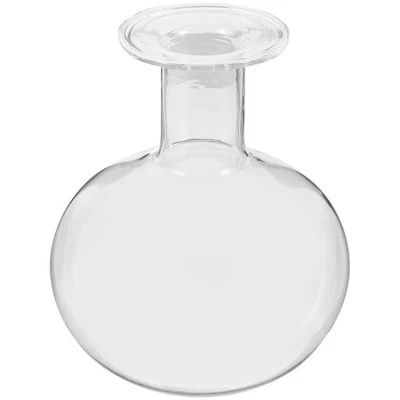  Dekoflaschen Blumen Topf Hydroponischer Pflanzer Dekorative Glasflasche - Bild 1 von 4