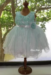 Beautiful "Nannette Baby" Birthday Party / Elegant Dress size 3-6 Months - Picture 1 of 9