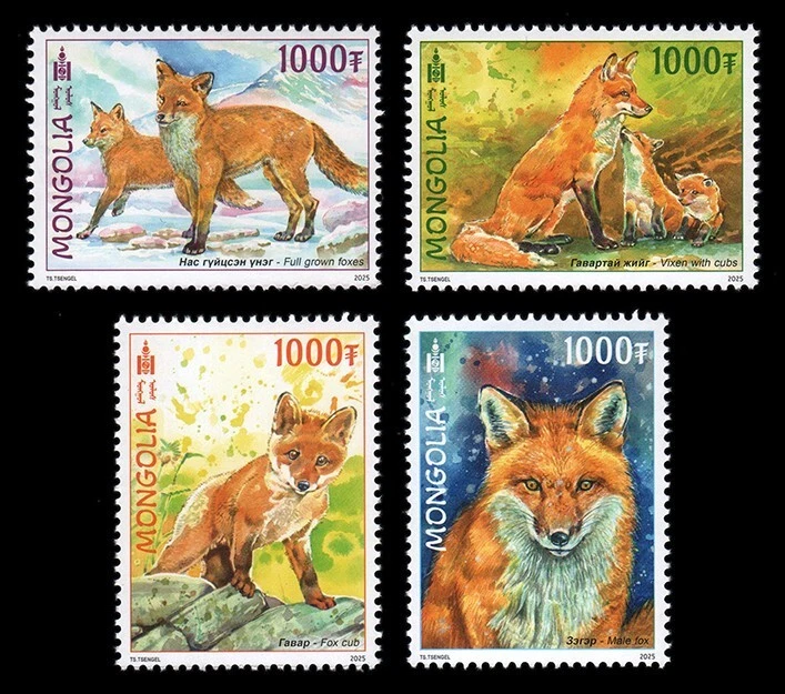 Sello de zorro rojo Mongolia 2025 MNH Foto 1 de 1