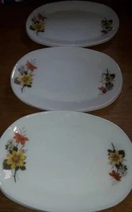 7 Vintage Retro Oval Floral Pyrex JAJ `AUTUMN GLORY`Steak Plates 30.5X23 cm VGC - Picture 1 of 9