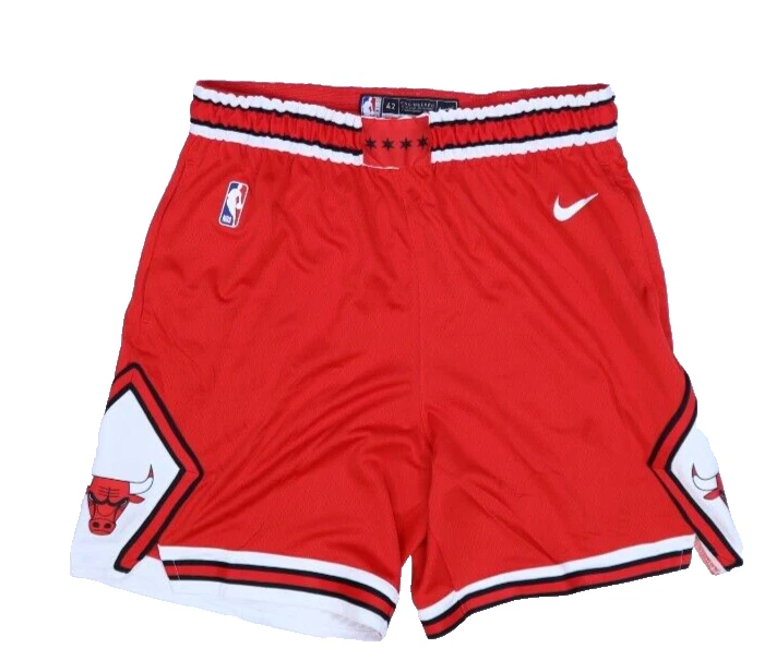 Chicago Bulls Icon Edition Men's Nike NBA Swingman Shorts Size 2XL 46