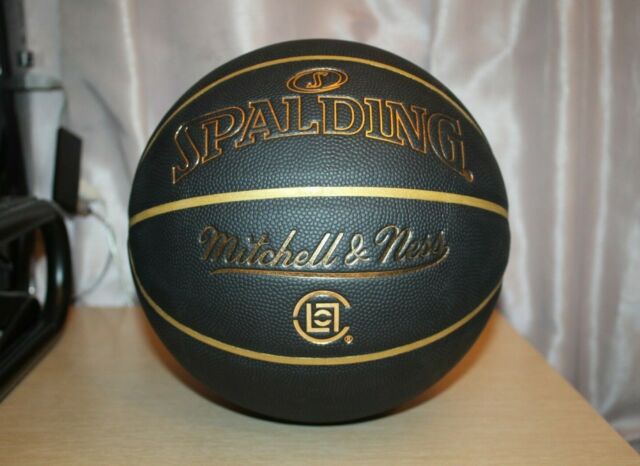 Spalding Composite Official NBA Game Ball (Indoor/Outdoor) – nbaph-dev-store