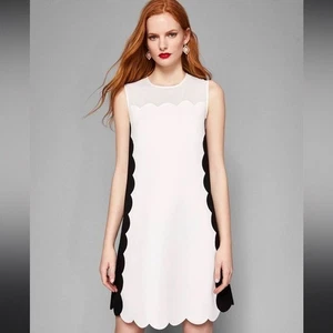 Ted Baker Berrii Black & White Scalloped Dress New With Tags Size US Medium 8 - Picture 1 of 14
