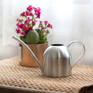 1000 ML Watering Can Flower Gardening Tool Stainless Steel Kettle - Picture 1 of 11