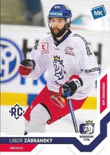 Libor Zabransky, 2022 czech National team, Assat Pori, Liiga, Finland