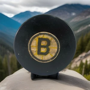 De colección Boston Bruins Arte Oficial Ross Tyer Goma NHL Hockey Puck Converse EE. UU. - Imagen 1 de 4