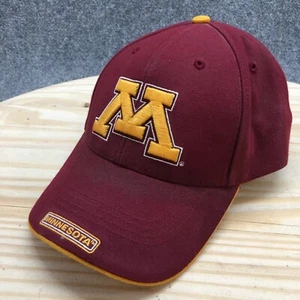 Gorra de béisbol Minnesota Gophers Twin Enterprise para hombre roja OS logotipo bordado - Imagen 1 de 14
