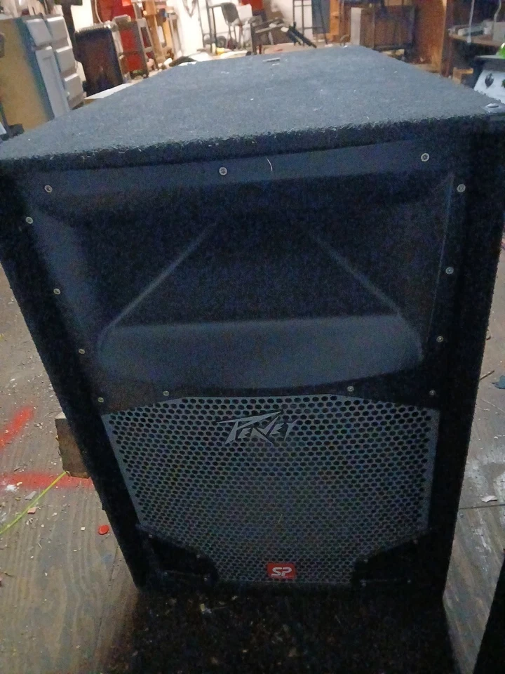 Пара пассивных динамиков звукоусиления Peavey SP 2 с сабвуферами Bex Black Widows 15 дюймов - Изображение 1 из 1
