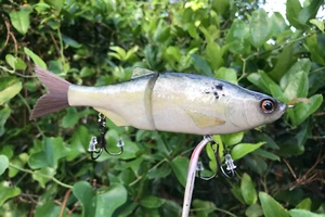 SPEEDBAITS Custom Airbrushed 7" Glide Bait - Picture 1 of 20
