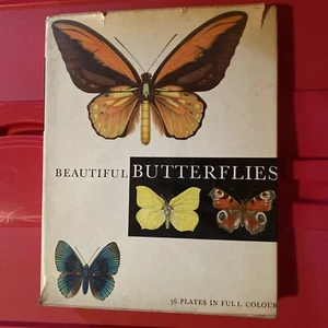 Beautiful Butterflies (J.Moucha - 1965) - Picture 1 of 3