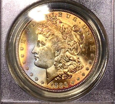 1886-P Morgan Dollar PCGS MS64 Satin Luster Bomb Rainbow Toned OGH +Video Cover