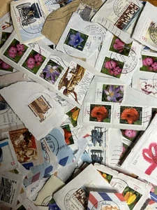 Deutsche Mischmarken 50g zum Sortieren frankiert auf Papier / Kiloware - Bild 1 von 6