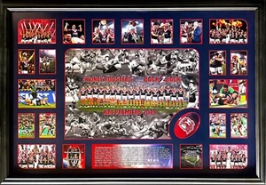 New Sydney Roosters Back 2 Back Limited Edition Memorabilia Framed  - Bild 1 von 1