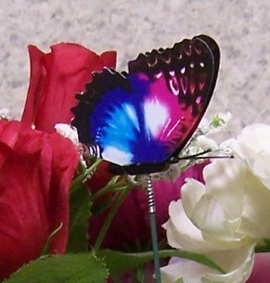 Garden Decor Flower Pot Plant Pick Stake Colorful Butterfly NEW 12“ tall #20 - Image 1 of 4