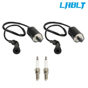 LABLT Ignition Coil & Spark Plug For Suzuki Intruder VS1400 VL1500 2 Set - Picture 1 of 10