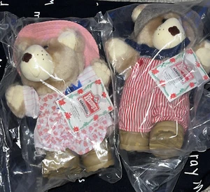 Wendy's Furskins Bears 1986 “Hattie” y “Dudley” ¡Lote de colección de 2 nunca abierto! - Imagen 1 de 10