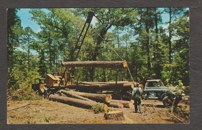 U.S. - MINT POST CARD - LOGGING IN EAST TEXAS . - Image 1 of 2