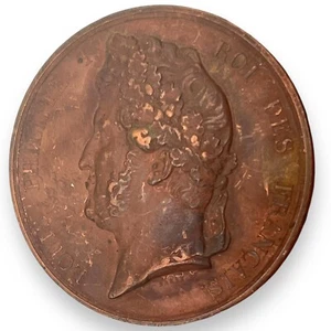 1834 French Commemorative Copper Bronze Medal Society of Agriculture Fruits - Picture 1 of 11