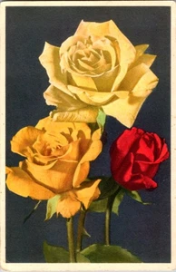 Detaillierte schöne Blumen auf alter Grußkarte o/18 BI7965 - Bild 1 von 2