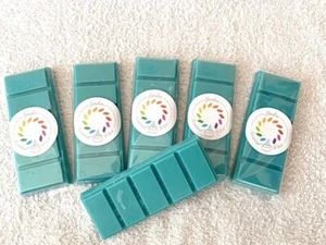 Snapbars snapbar waxmelts wax melt geur RITUALS KARMA - Imagen 1 de 1