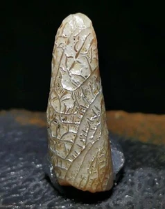 agata vena gobi mongola naturale pietra grezza esemplare collezione 2406 - Foto 1 di 2