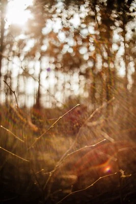 Portrait lens PENTACON auto 2.8/29mm m42 mount SLR DSLR Wide-angle CLA - Image 1 of 4