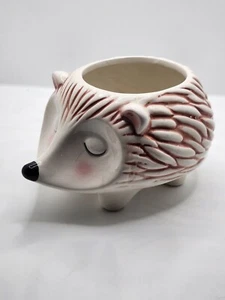 Hedgehog Planter Pot Ceramic White /Rust No Drainage Hole Animal 6-in Garden NEW - Picture 1 of 8