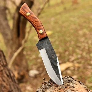 Custom Made Forged High Carbon Steel Fix Blade Hunting Bowie Knife Survival 2928 - Picture 1 of 5