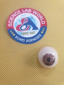 Dunkelbraune künstliche Augenprothese - Bild 1 von 5