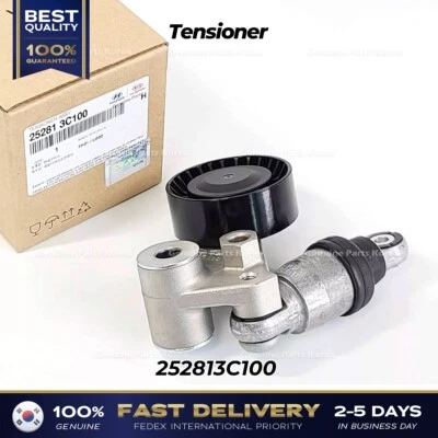 ⭐Genuine⭐ Tensioner 252813C100 for Hyundai Azera Sonata Kia Amanti Sedona - Image 1 of 4